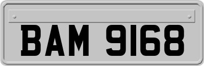 BAM9168