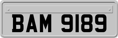 BAM9189