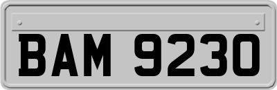 BAM9230