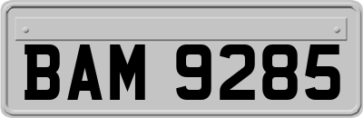 BAM9285