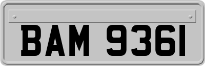 BAM9361