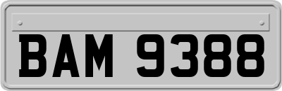 BAM9388