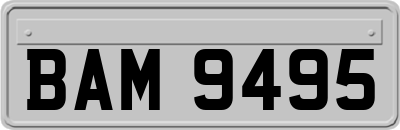 BAM9495