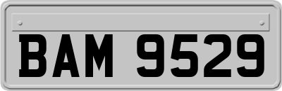 BAM9529