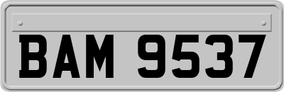 BAM9537
