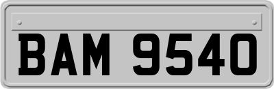 BAM9540