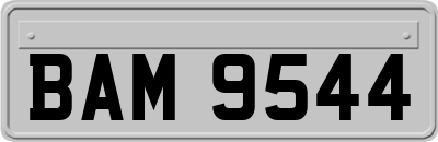 BAM9544