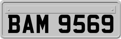 BAM9569