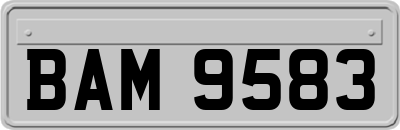 BAM9583