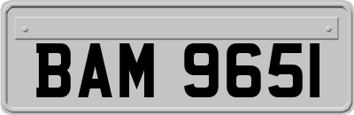 BAM9651