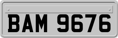BAM9676