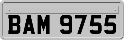 BAM9755