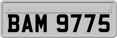 BAM9775