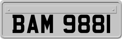 BAM9881