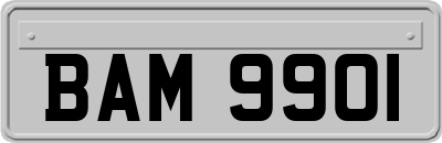 BAM9901