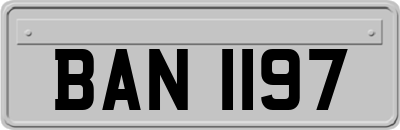 BAN1197