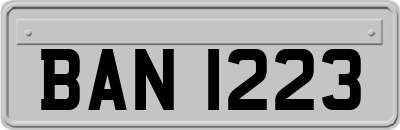 BAN1223