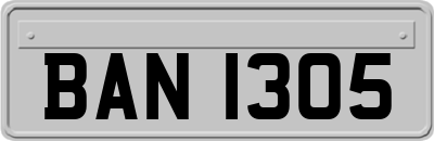 BAN1305