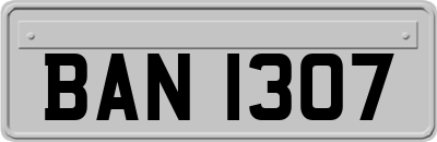 BAN1307