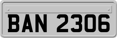 BAN2306