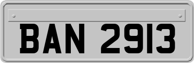BAN2913