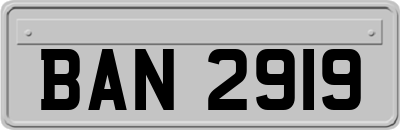 BAN2919