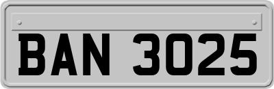BAN3025