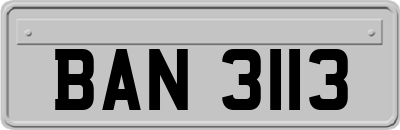 BAN3113