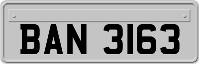 BAN3163