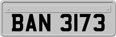 BAN3173