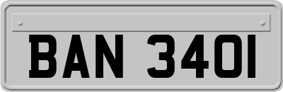 BAN3401