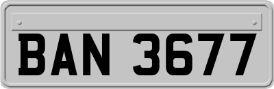 BAN3677