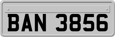 BAN3856