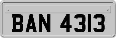 BAN4313