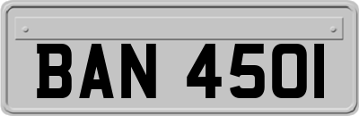BAN4501