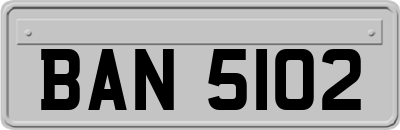BAN5102