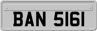 BAN5161