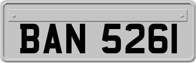 BAN5261