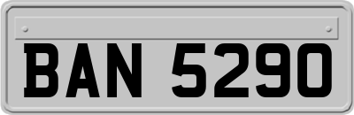 BAN5290