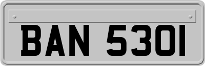 BAN5301
