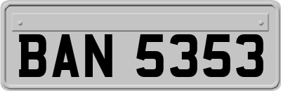 BAN5353