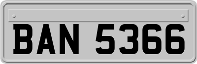 BAN5366