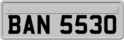 BAN5530