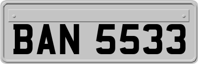 BAN5533