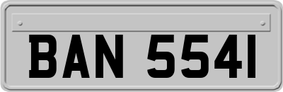 BAN5541