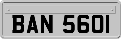 BAN5601