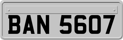 BAN5607