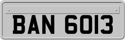 BAN6013
