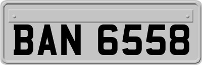 BAN6558