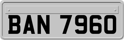 BAN7960